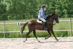 img_117_1746.jpg
