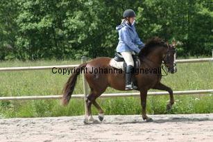 img_117_1747.jpg