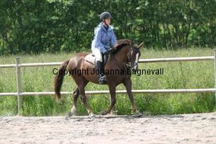 img_117_1753.jpg