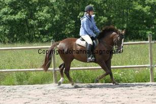 img_117_1759.jpg