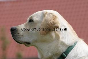 img_117_1767.jpg