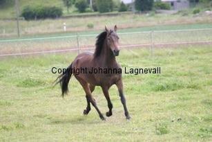 img_117_1775.jpg