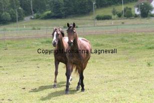 img_117_1777.jpg