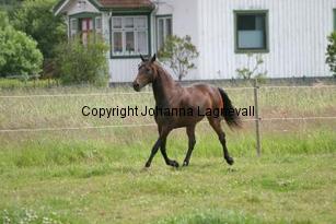 img_117_1781.jpg