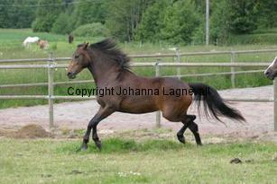 img_117_1783.jpg