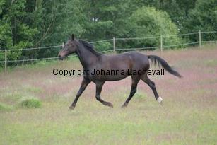img_117_1793.jpg