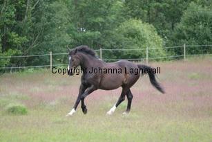 img_117_1794.jpg