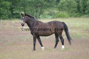 img_118_1801.jpg