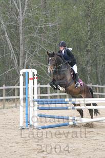 img_104_0498_w.jpg