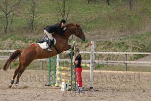 img_105_0513_w.jpg
