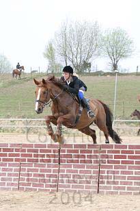 img_105_0516_w.jpg