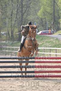 img_105_0560_w.jpg