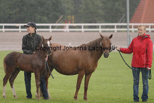 annie_7020-3.jpg