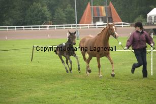 arhultsnicolle_7073.jpg