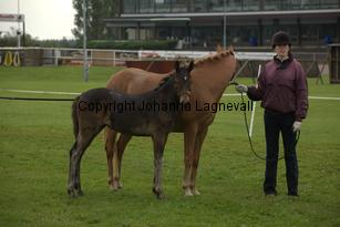 arhultsnicolle_7080.jpg