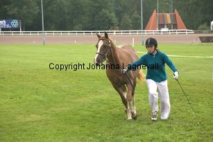 borghofscorienje_7071.jpg