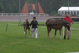 caramelle_7009.jpg
