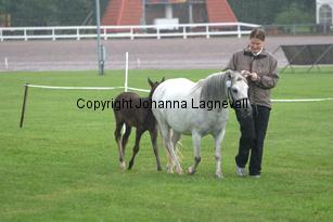 himlabackentippex_7010.jpg