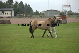 lydia_7018.jpg
