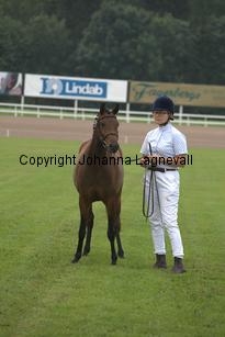 solfagel_7027.jpg