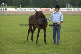 suncatcher_7034.jpg