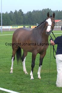 turfhorstpennyroyal_7005.jpg