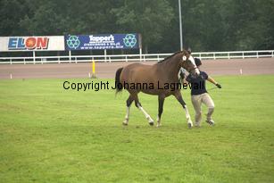 turfhorstpennyroyal_7068.jpg