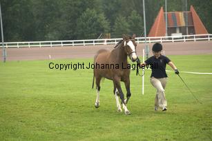 turfhorstpennyroyal_7069.jpg