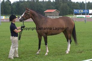 turfhorstpennyroyal_7082.jpg
