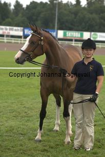turfhorstpennyroyal_7083-a.jpg