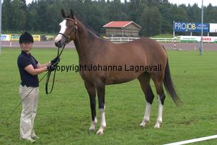 turfhorstpennyroyal_7083.jpg