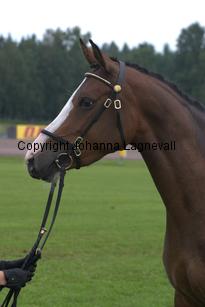 turfhorstpennyroyal_7085.jpg