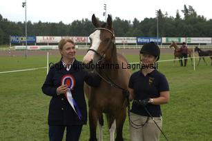 turfhorstpennyroyal_7095.jpg