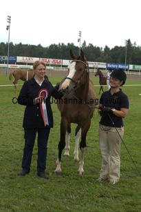 turfhorstpennyroyal_7099.jpg