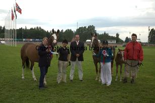 turfhorstpennyroyal_7108.jpg