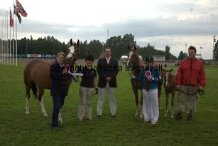 turfhorstpennyroyal_7109.jpg