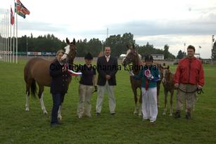 turfhorstpennyroyal_7110.jpg