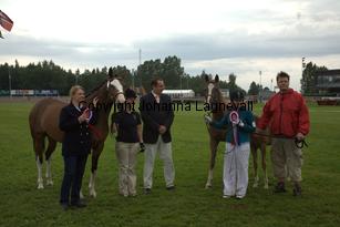 turfhorstpennyroyal_7112.jpg