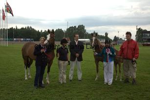 turfhorstpennyroyal_7115.jpg