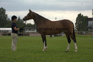 turfhorstpennyroyal_7116.jpg