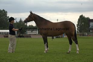 turfhorstpennyroyal_7117.jpg