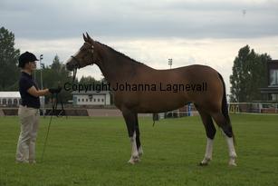 turfhorstpennyroyal_7118.jpg