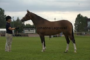 turfhorstpennyroyal_7119.jpg