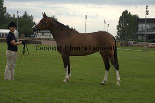 turfhorstpennyroyal_7120.jpg