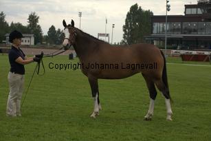 turfhorstpennyroyal_7121.jpg