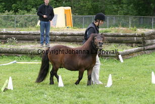 agility_0957.jpg