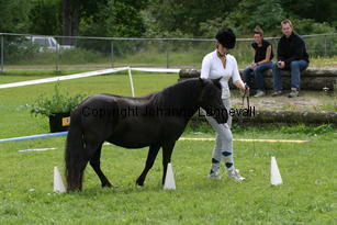 agility_0997.jpg