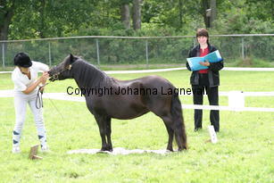agility_0998.jpg
