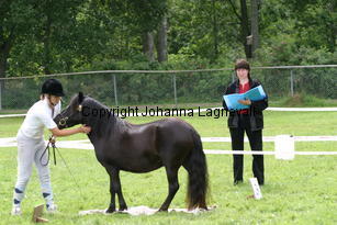 agility_0999.jpg