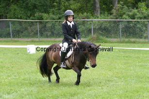 amanda_shebelina_1102.jpg